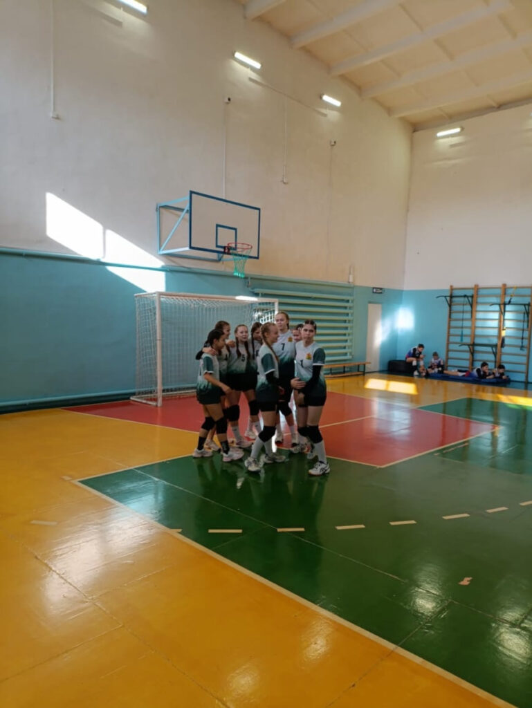 Открытый турнир п. Элита по волейболу