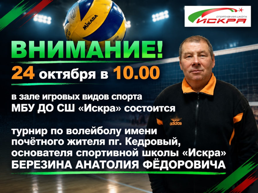 Турнир по волейболу имени А.Ф. Березина
